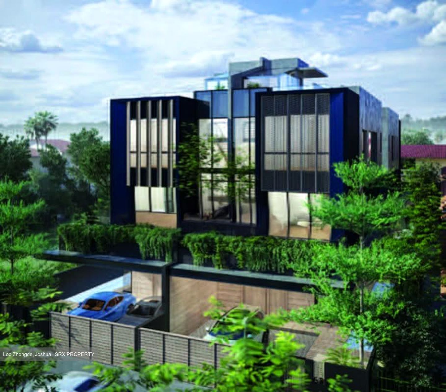 Henry Park (D10), Detached #542583811